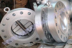 Dual Plate Check Valve